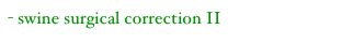 - swine surgical correction II